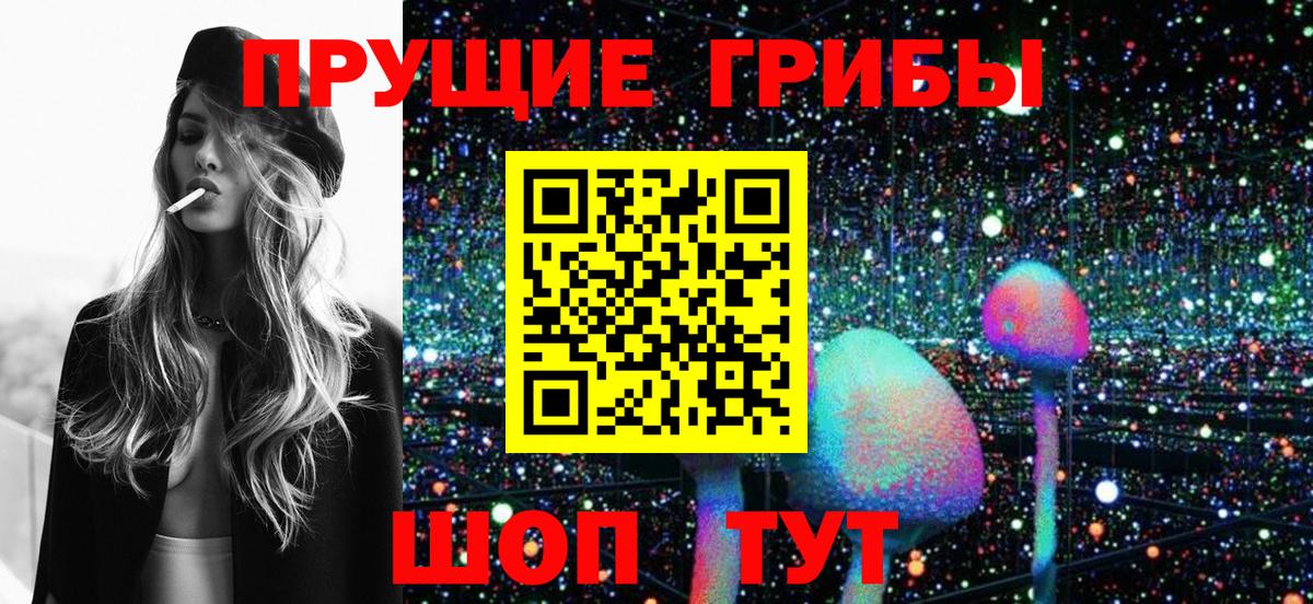 Крымск  Галлюциногенные грибы Psilocybe  Вход с VPN 
